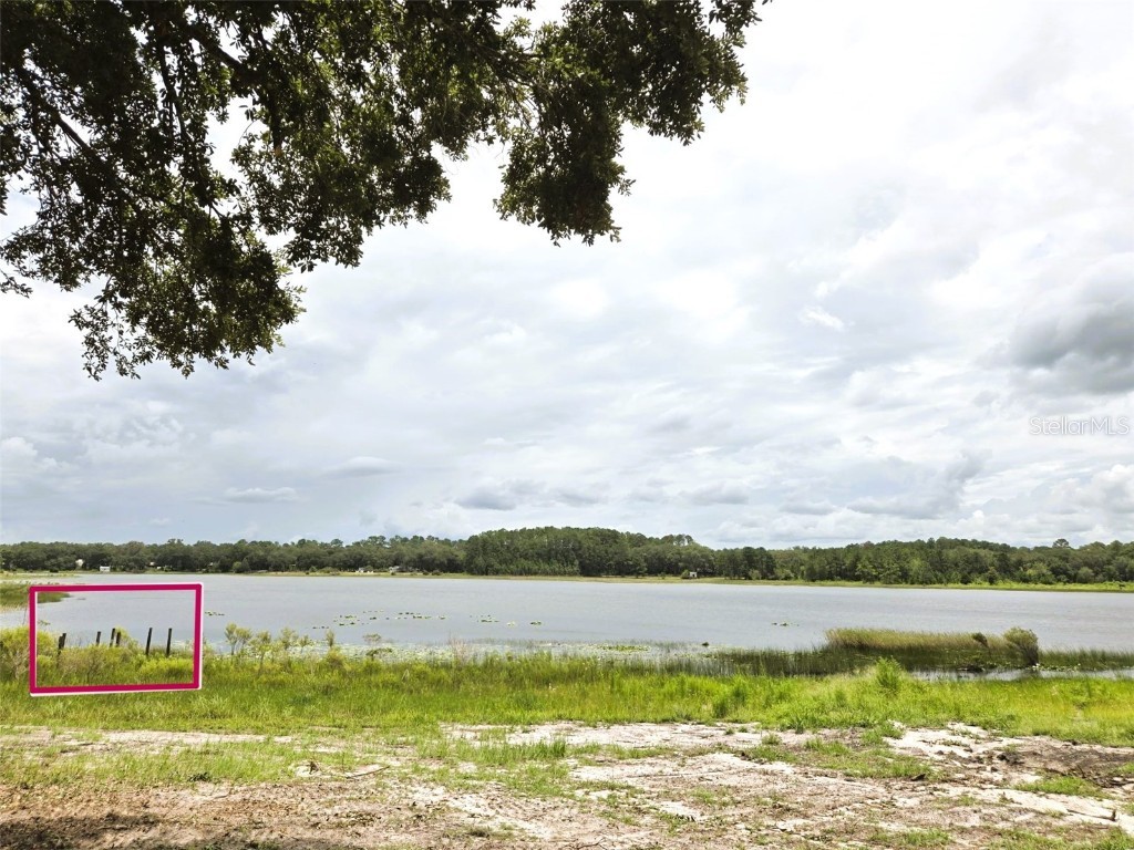 7431 SE 170th Avenue Road Ocklawaha FL 32179 - LAKE BESSIOLA TB8408292 image27