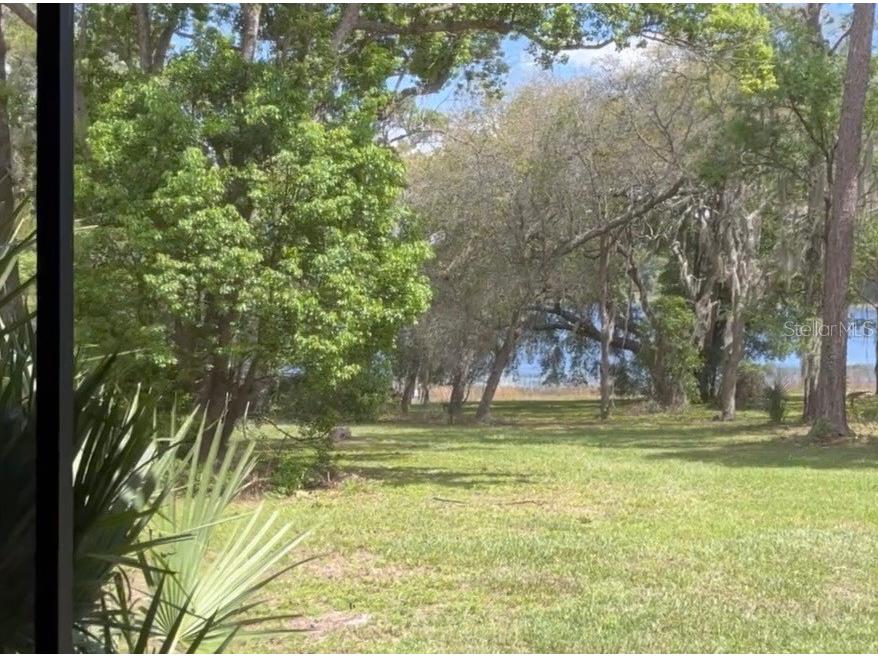 7431 SE 170th Avenue Road Ocklawaha FL 32179 - LAKE BESSIOLA TB8408292 image28