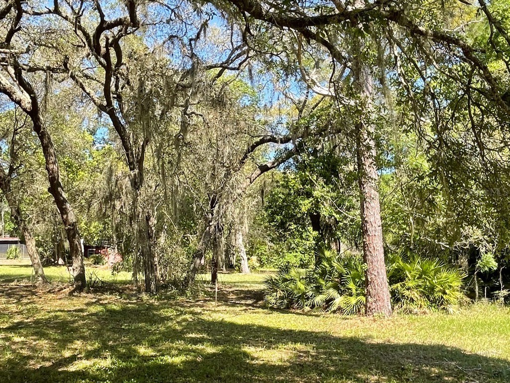 7431 SE 170th Avenue Road Ocklawaha FL 32179 - LAKE BESSIOLA TB8408292 image29