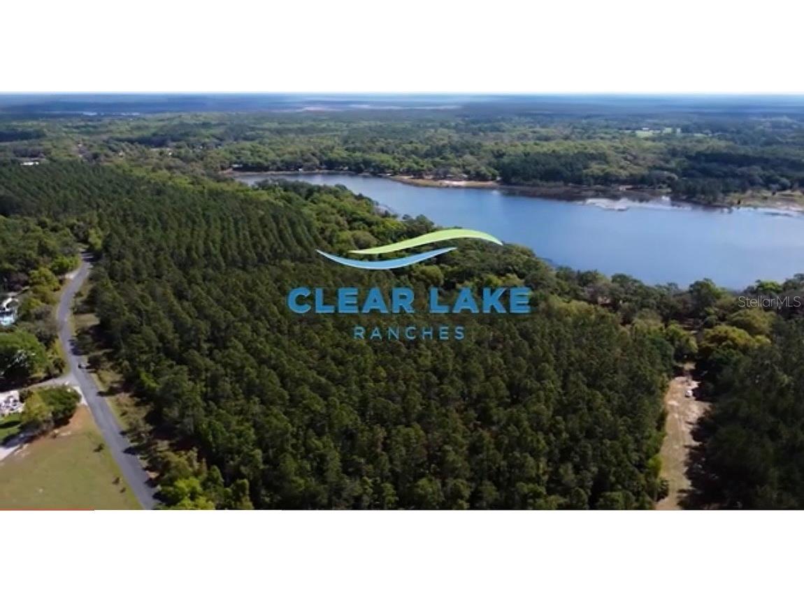 7431 SE 170th Avenue Road Ocklawaha FL 32179 - LAKE BESSIOLA TB8408292 image3