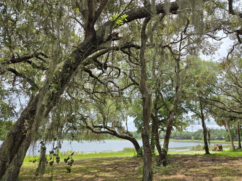 7431 SE 170th Avenue Road Ocklawaha FL 32179 - LAKE BESSIOLA TB8408292 image30
