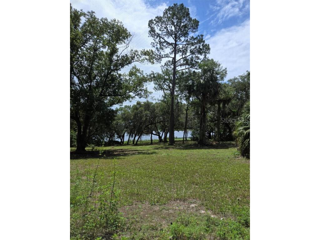 7431 SE 170th Avenue Road Ocklawaha FL 32179 - LAKE BESSIOLA TB8408292 image31