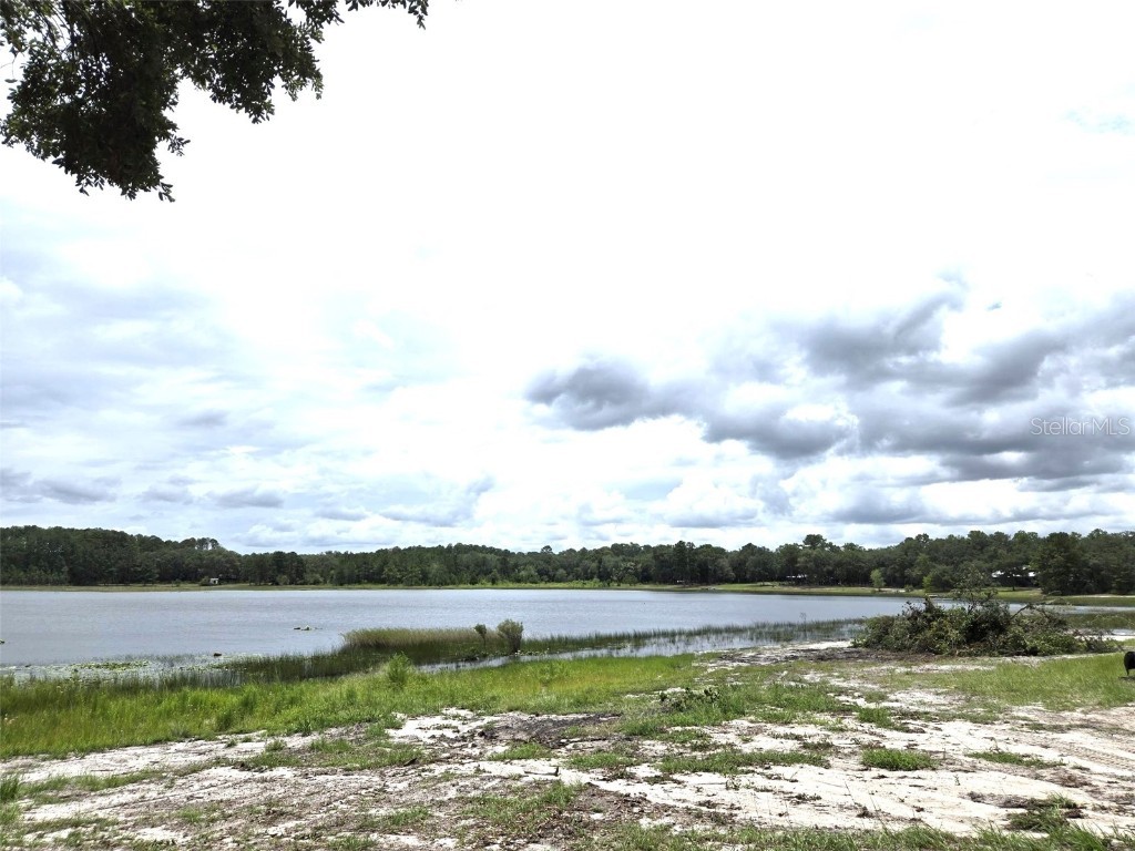 7431 SE 170th Avenue Road Ocklawaha FL 32179 - LAKE BESSIOLA TB8408292 image32