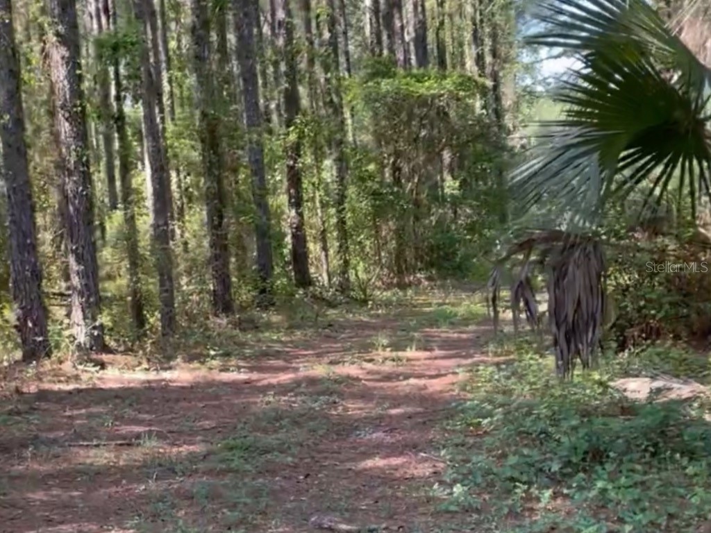 7431 SE 170th Avenue Road Ocklawaha FL 32179 - LAKE BESSIOLA TB8408292 image33