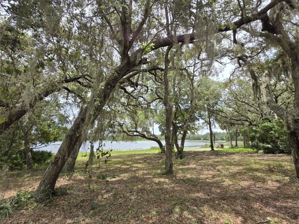 7431 SE 170th Avenue Road Ocklawaha FL 32179 - LAKE BESSIOLA TB8408292 image34