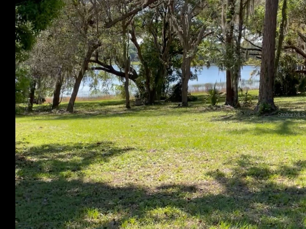 7431 SE 170th Avenue Road Ocklawaha FL 32179 - LAKE BESSIOLA TB8408292 image35