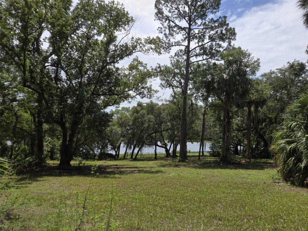 7431 SE 170th Avenue Road Ocklawaha FL 32179 - LAKE BESSIOLA TB8408292 image36