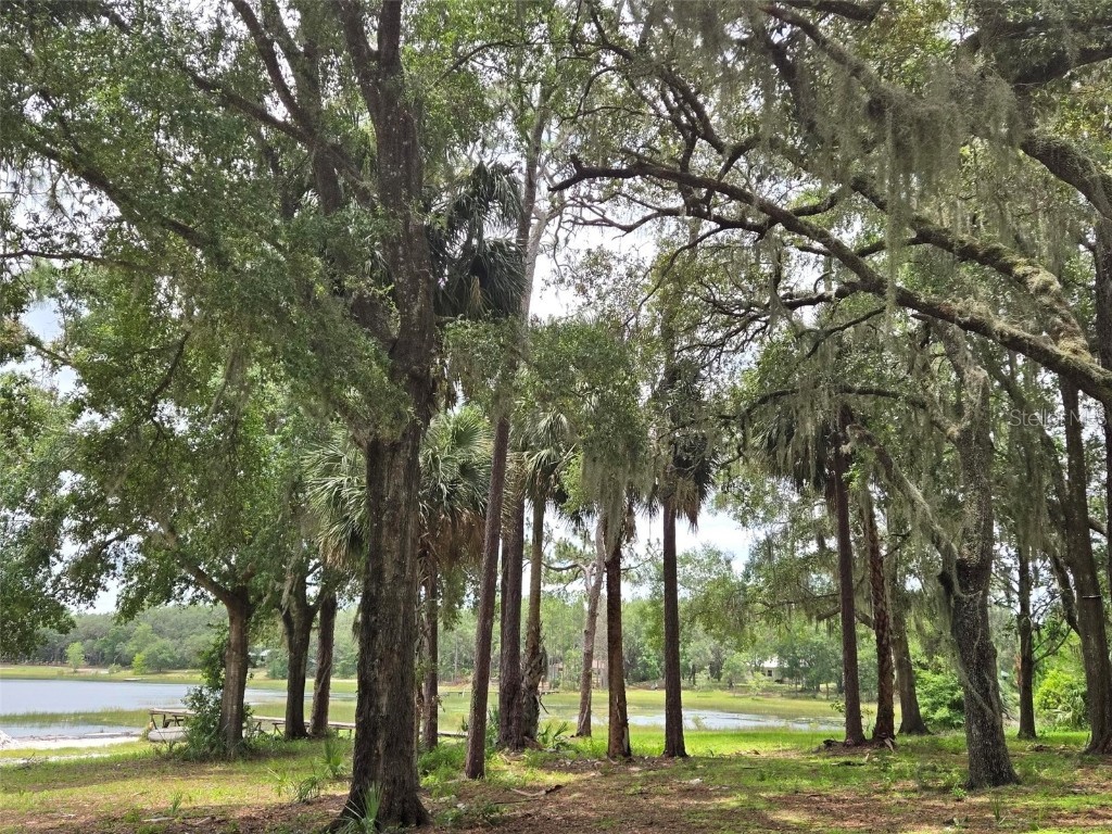 7431 SE 170th Avenue Road Ocklawaha FL 32179 - LAKE BESSIOLA TB8408292 image37