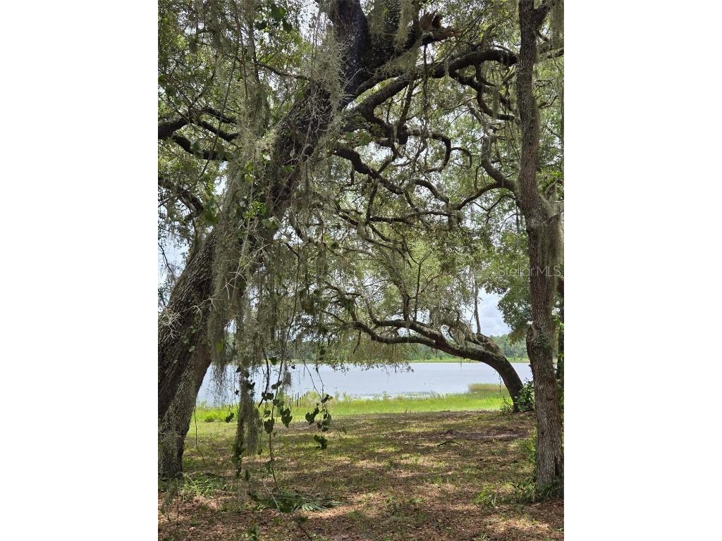 7431 SE 170th Avenue Road Ocklawaha FL 32179 - LAKE BESSIOLA TB8408292 image38