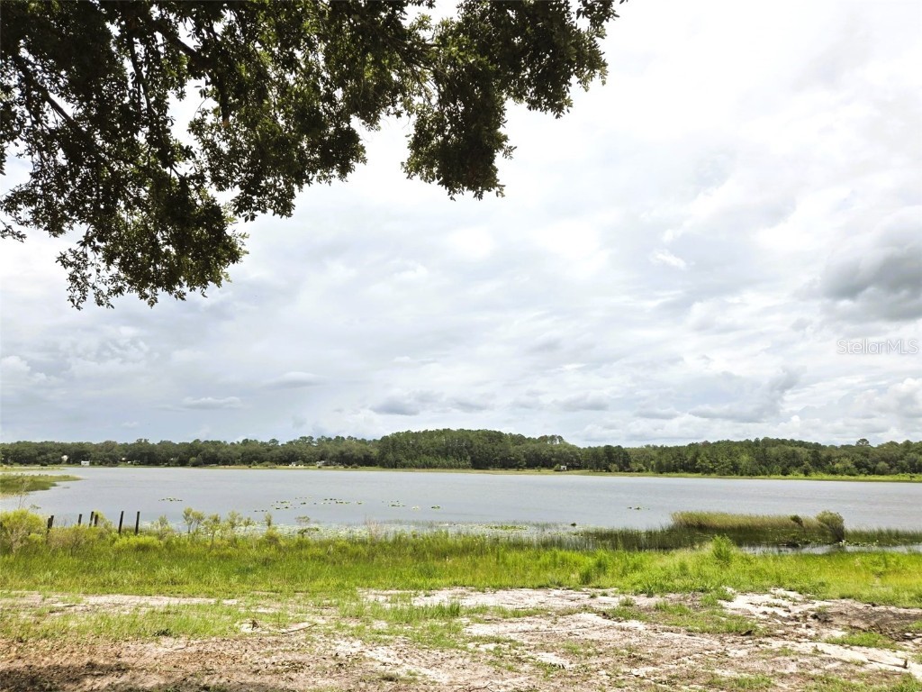 7431 SE 170th Avenue Road Ocklawaha FL 32179 - LAKE BESSIOLA TB8408292 image39