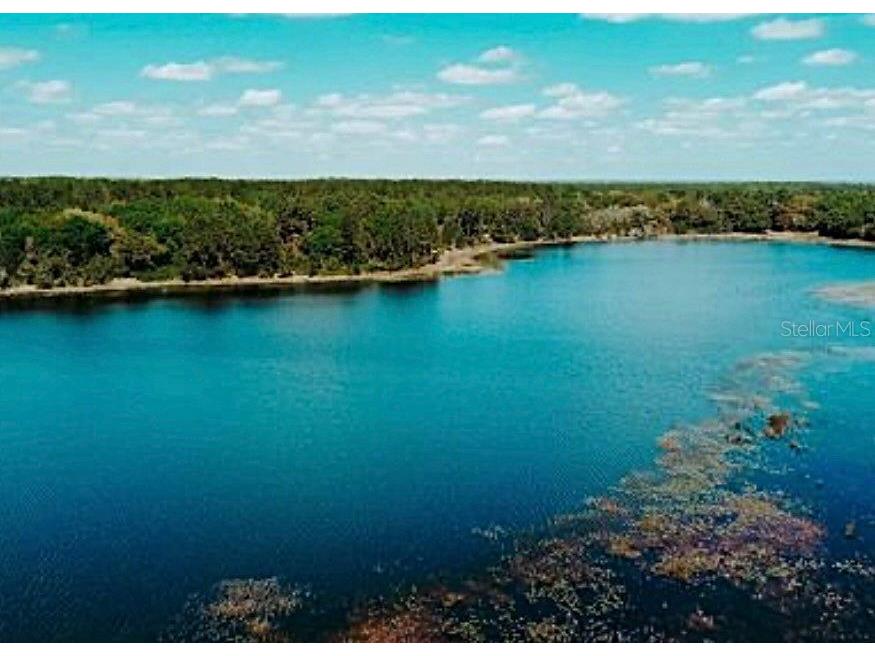 7431 SE 170th Avenue Road Ocklawaha FL 32179 - LAKE BESSIOLA TB8408292 image4