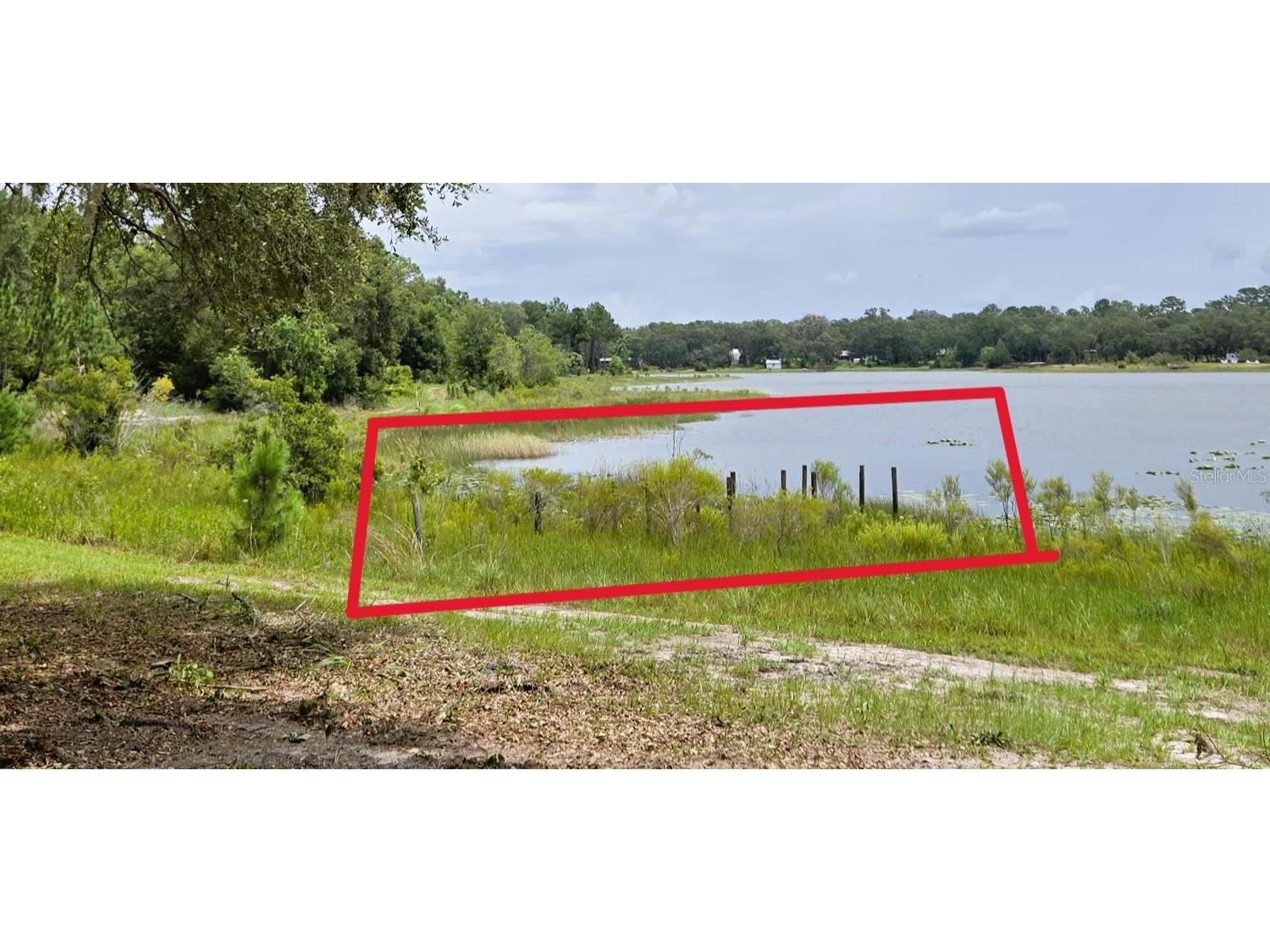 7431 SE 170th Avenue Road Ocklawaha FL 32179 - LAKE BESSIOLA TB8408292 image40