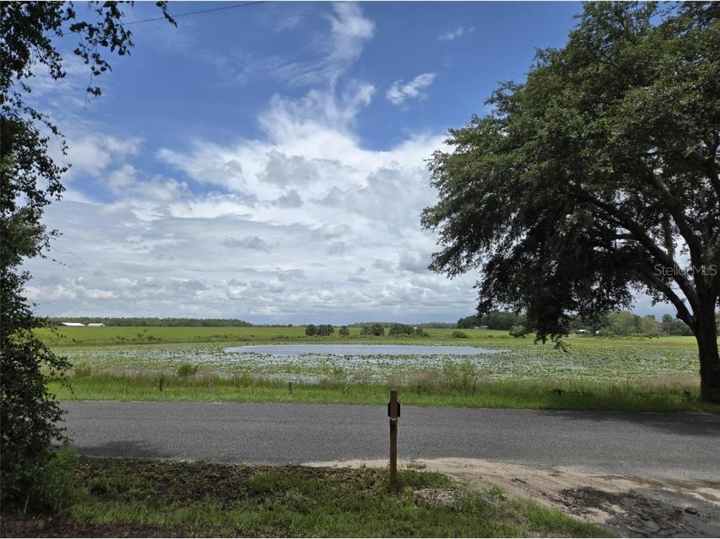 7431 SE 170th Avenue Road Ocklawaha FL 32179 - LAKE BESSIOLA TB8408292 image41