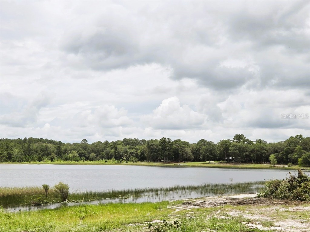 7431 SE 170th Avenue Road Ocklawaha FL 32179 - LAKE BESSIOLA TB8408292 image42