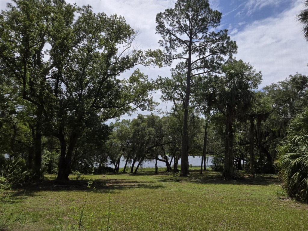 7431 SE 170th Avenue Road Ocklawaha FL 32179 - LAKE BESSIOLA TB8408292 image43