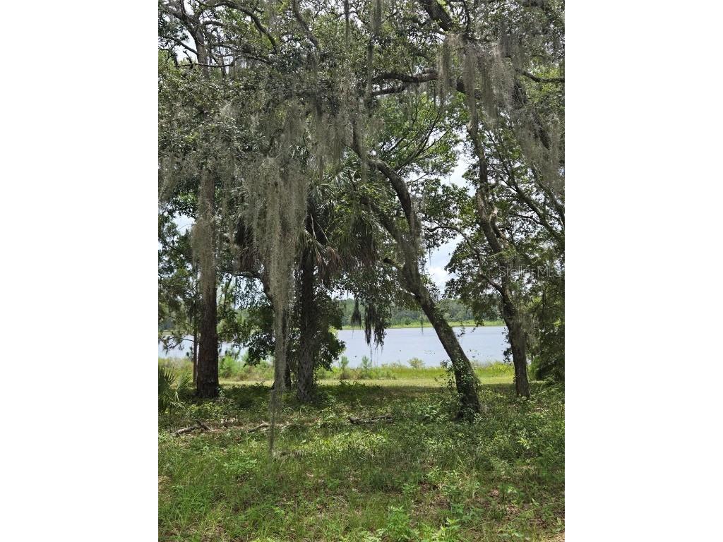 7431 SE 170th Avenue Road Ocklawaha FL 32179 - LAKE BESSIOLA TB8408292 image44