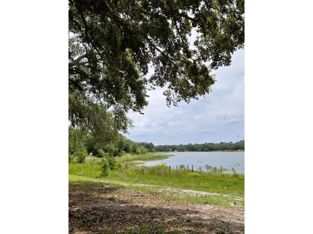 7431 SE 170th Avenue Road Ocklawaha FL 32179 - LAKE BESSIOLA TB8408292 image46