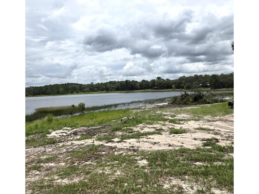 7431 SE 170th Avenue Road Ocklawaha FL 32179 - LAKE BESSIOLA TB8408292 image47