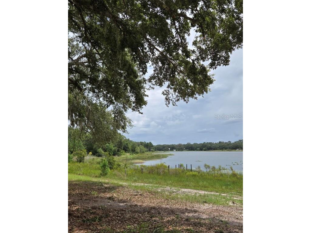 7431 SE 170th Avenue Road Ocklawaha FL 32179 - LAKE BESSIOLA TB8408292 image48