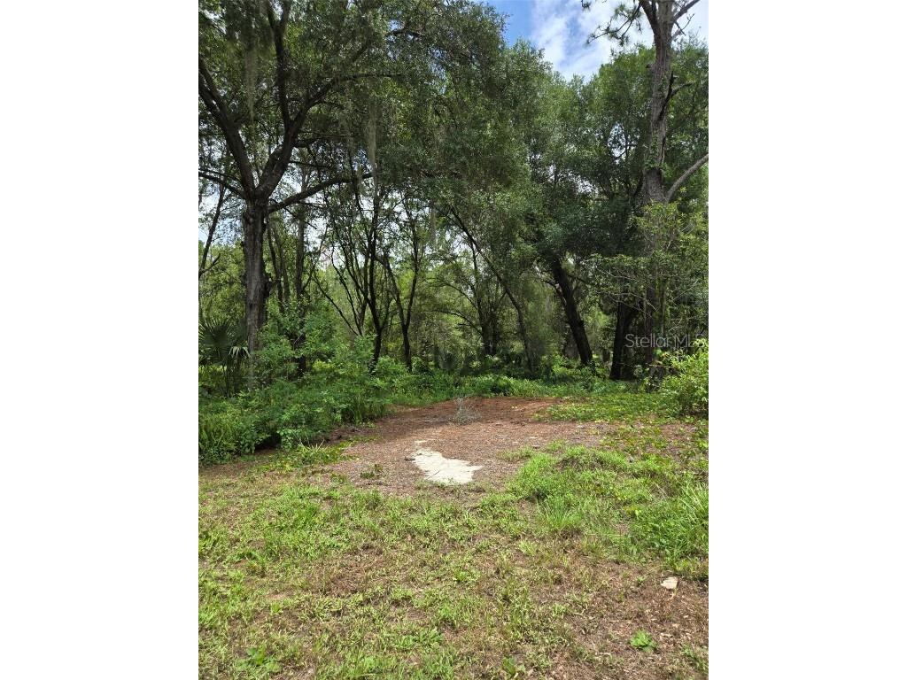 7431 SE 170th Avenue Road Ocklawaha FL 32179 - LAKE BESSIOLA TB8408292 image49