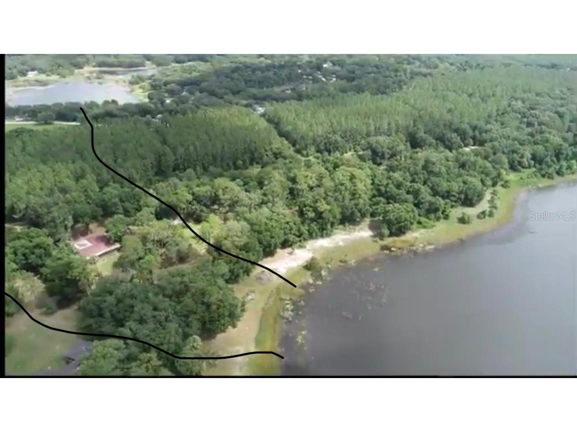 7431 SE 170th Avenue Road Ocklawaha FL 32179 - LAKE BESSIOLA TB8408292 image5
