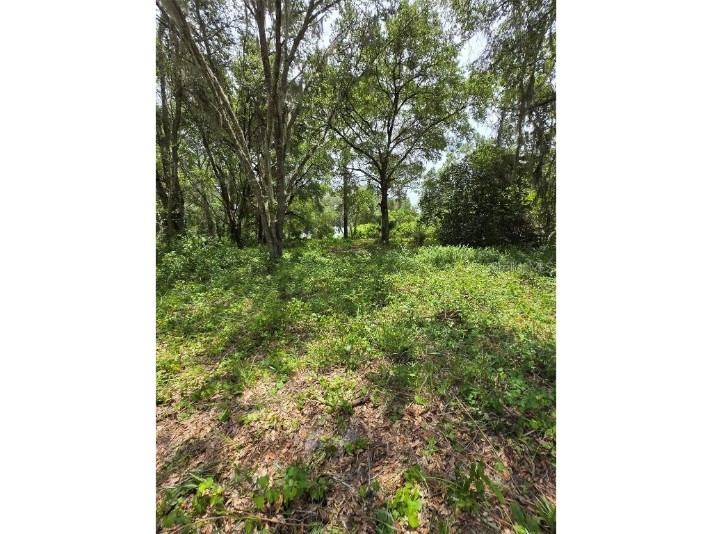 7431 SE 170th Avenue Road Ocklawaha FL 32179 - LAKE BESSIOLA TB8408292 image50