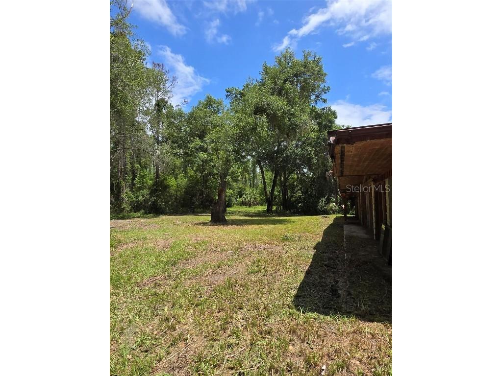 7431 SE 170th Avenue Road Ocklawaha FL 32179 - LAKE BESSIOLA TB8408292 image51