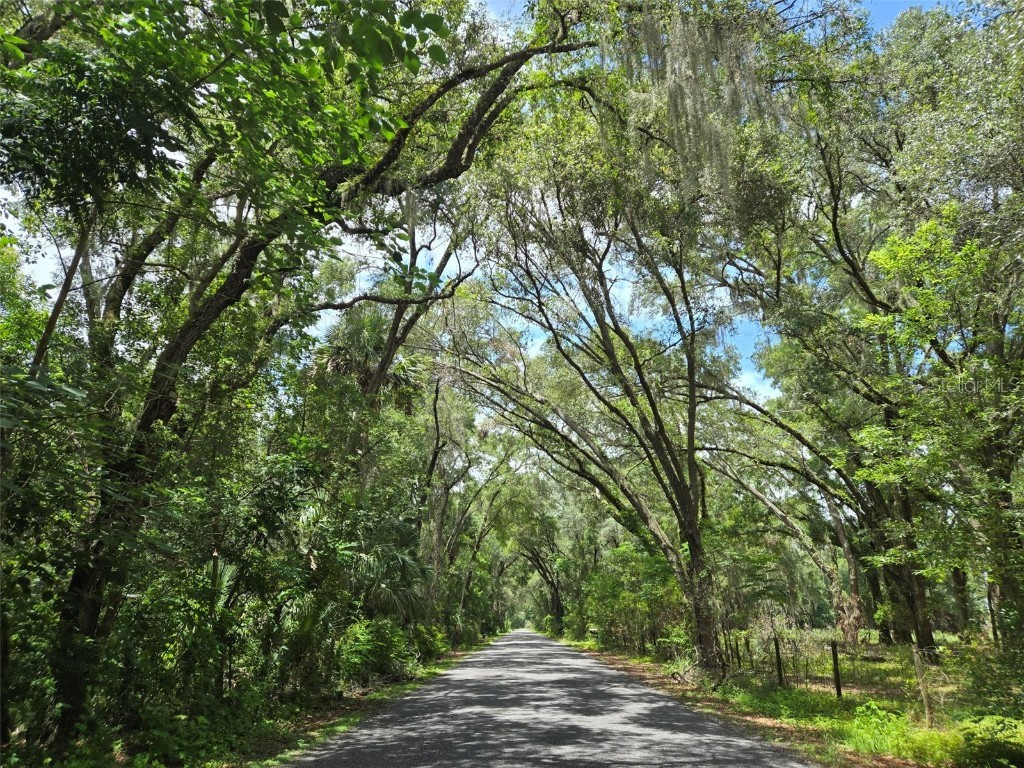 7431 SE 170th Avenue Road Ocklawaha FL 32179 - LAKE BESSIOLA TB8408292 image6