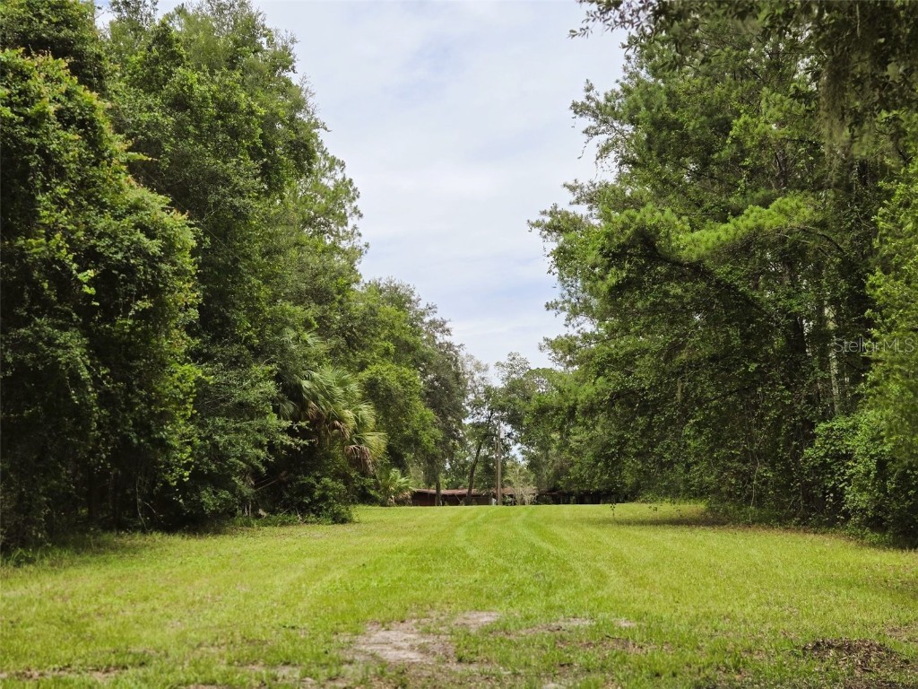 7431 SE 170th Avenue Road Ocklawaha FL 32179 - LAKE BESSIOLA TB8408292 image7