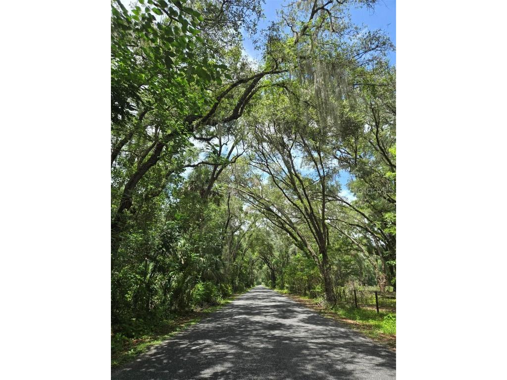 7431 SE 170th Avenue Road Ocklawaha FL 32179 - LAKE BESSIOLA TB8408292 image9