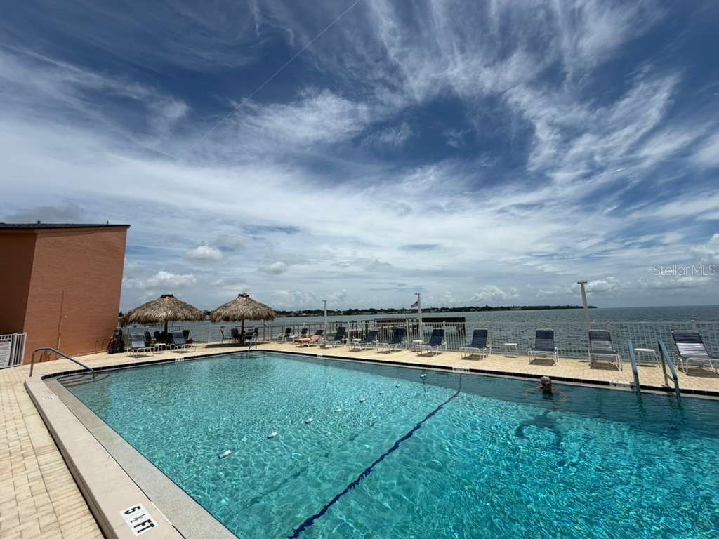 7432 Sunshine Skyway Lane S #206 Saint Petersburg FL 33711 TB8514328 image1