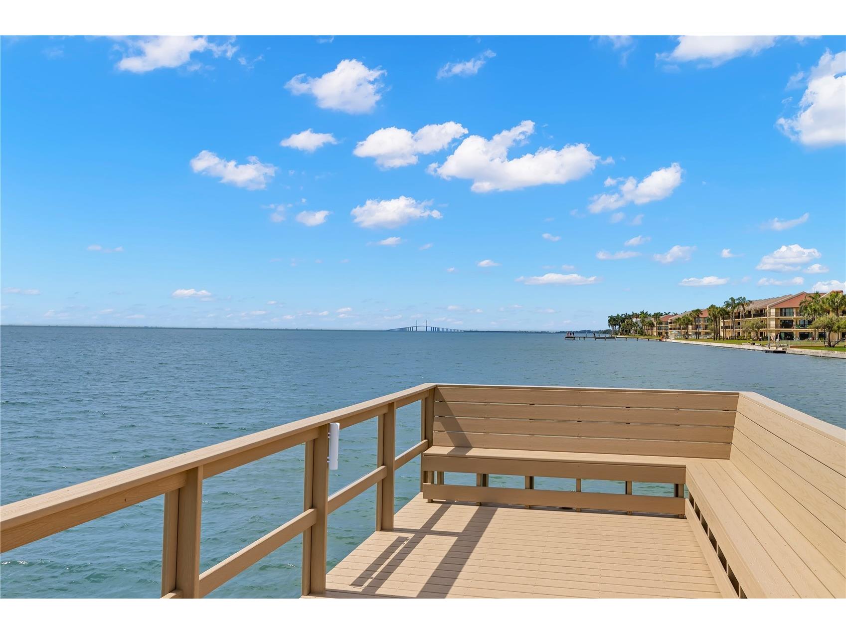 7432 Sunshine Skyway Lane S #302 Saint Petersburg FL 33711 - TAMPA BAY TO GULF OF AMERICA TB8520396 image43