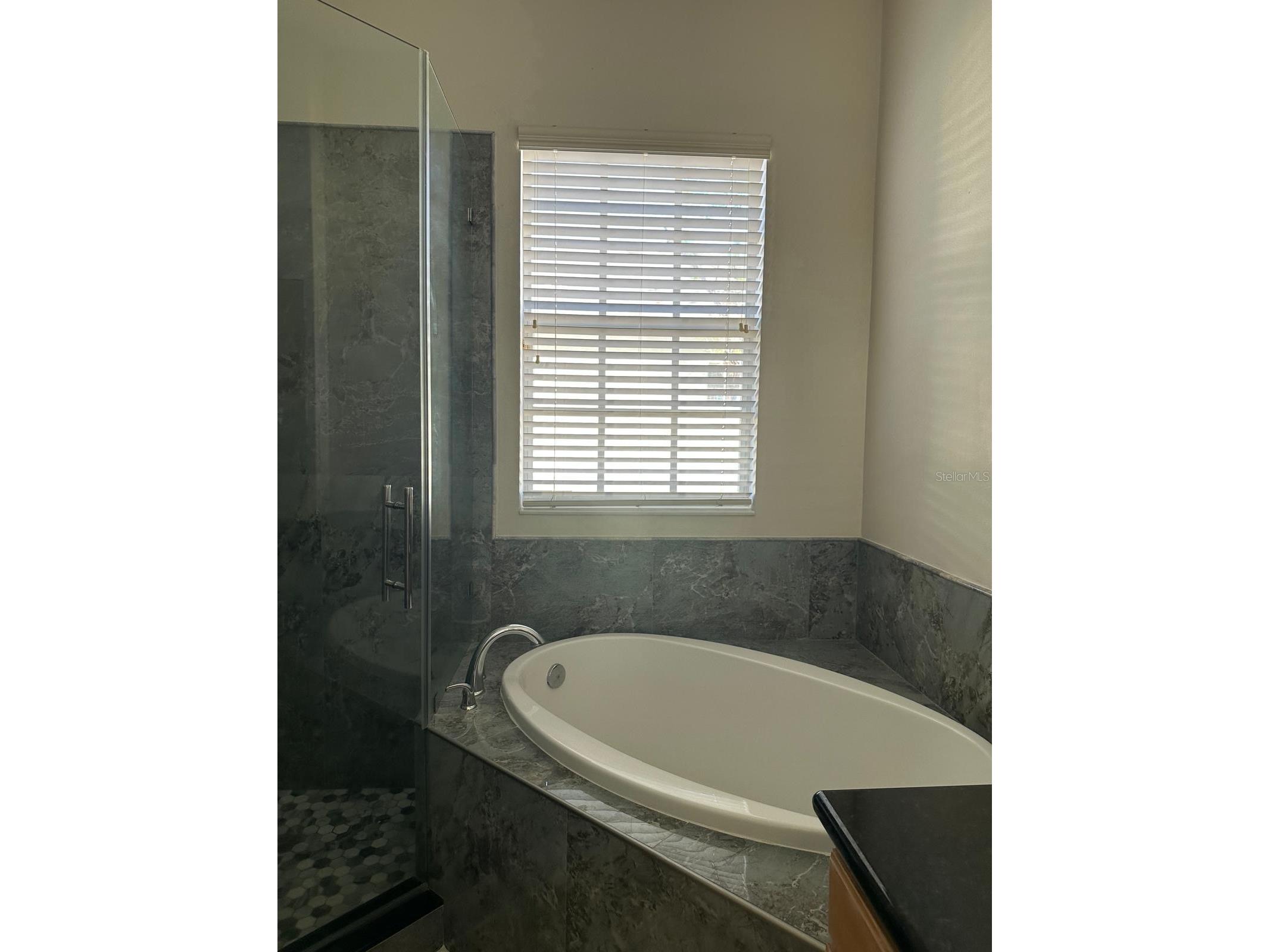 7433 Arlington Grove Circle Tampa FL 33625 TB8458082 image14
