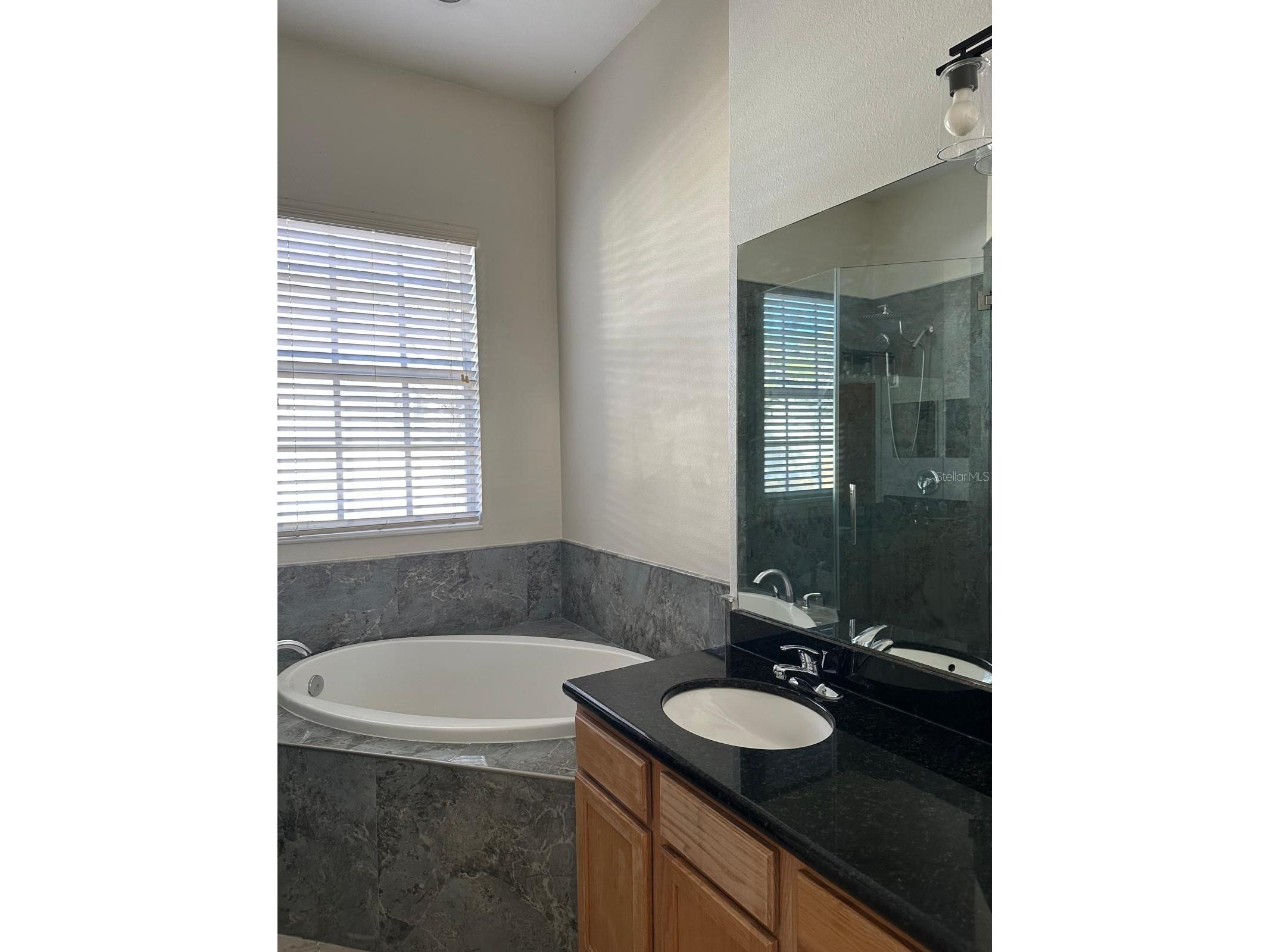 7433 Arlington Grove Circle Tampa FL 33625 TB8458082 image15