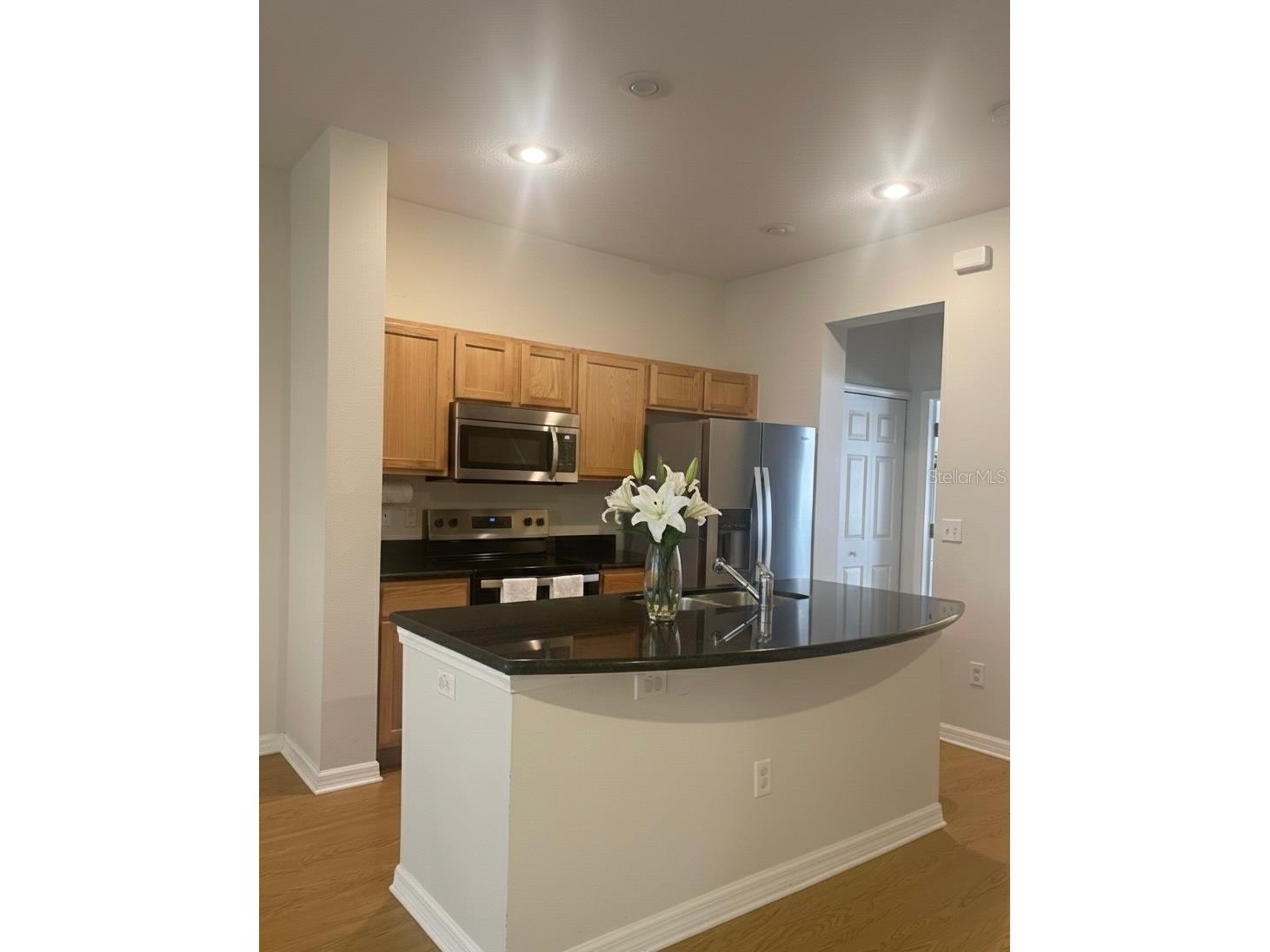 7433 Arlington Grove Circle Tampa FL 33625 TB8458082 image5