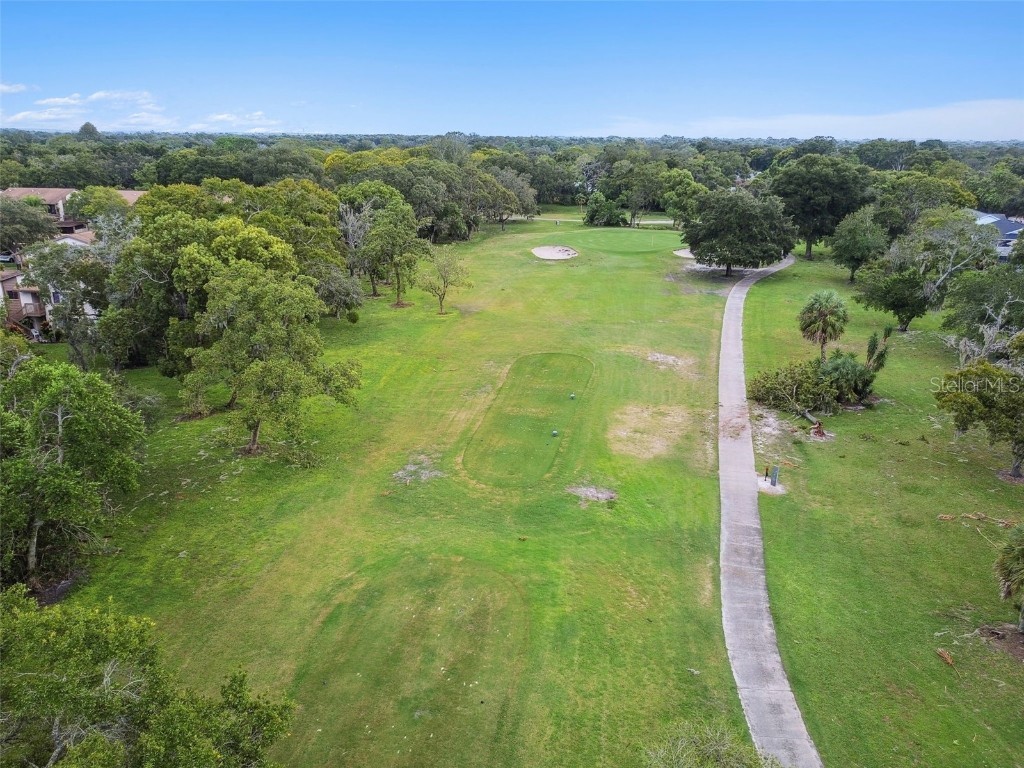 7433 Greystone Drive #7433 Hudson FL 34667 W7879185 image67