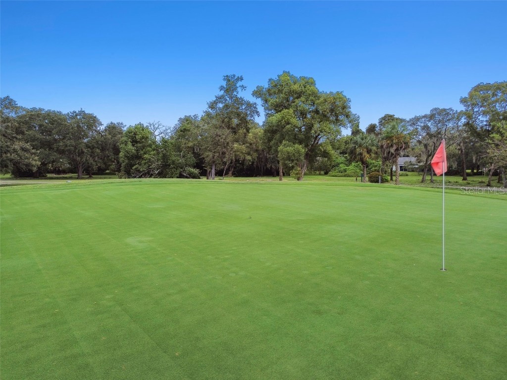 7433 Greystone Drive #7433 Hudson FL 34667 W7879185 image70