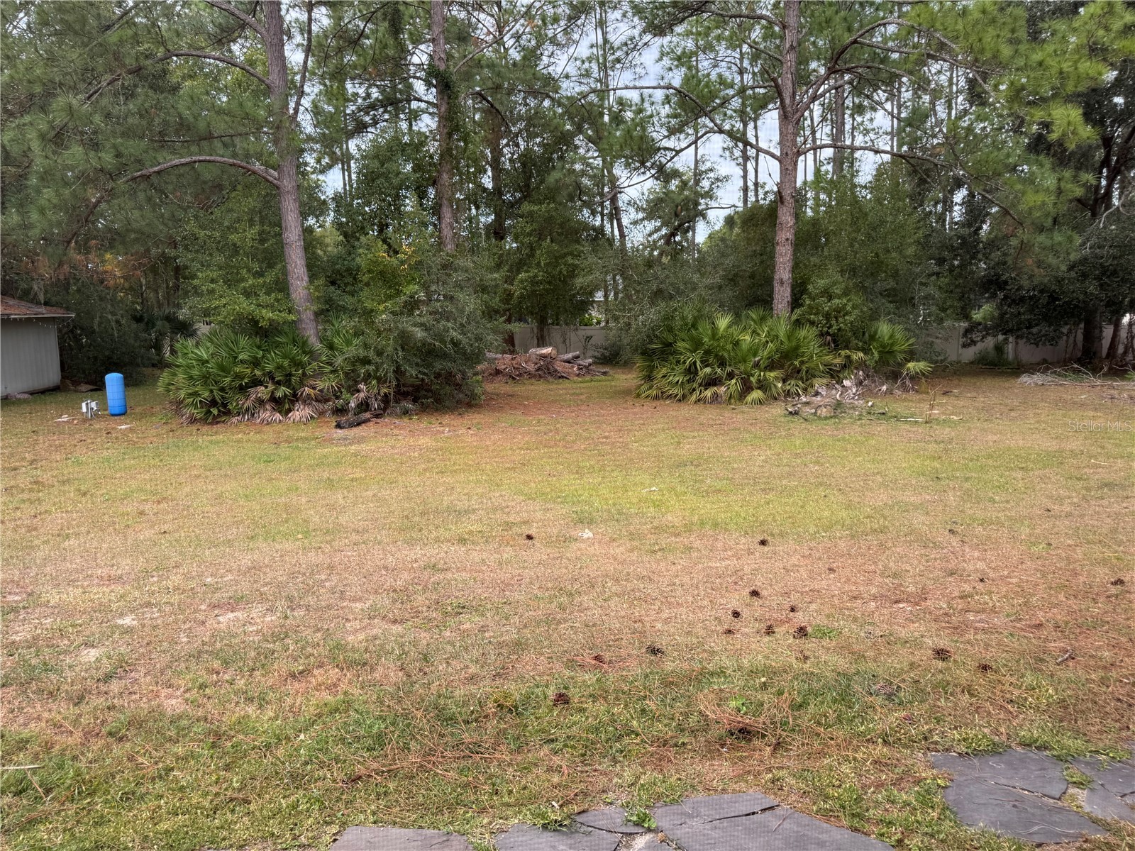 7433 Richland Street Wesley Chapel FL 33544 TB8463785 image17