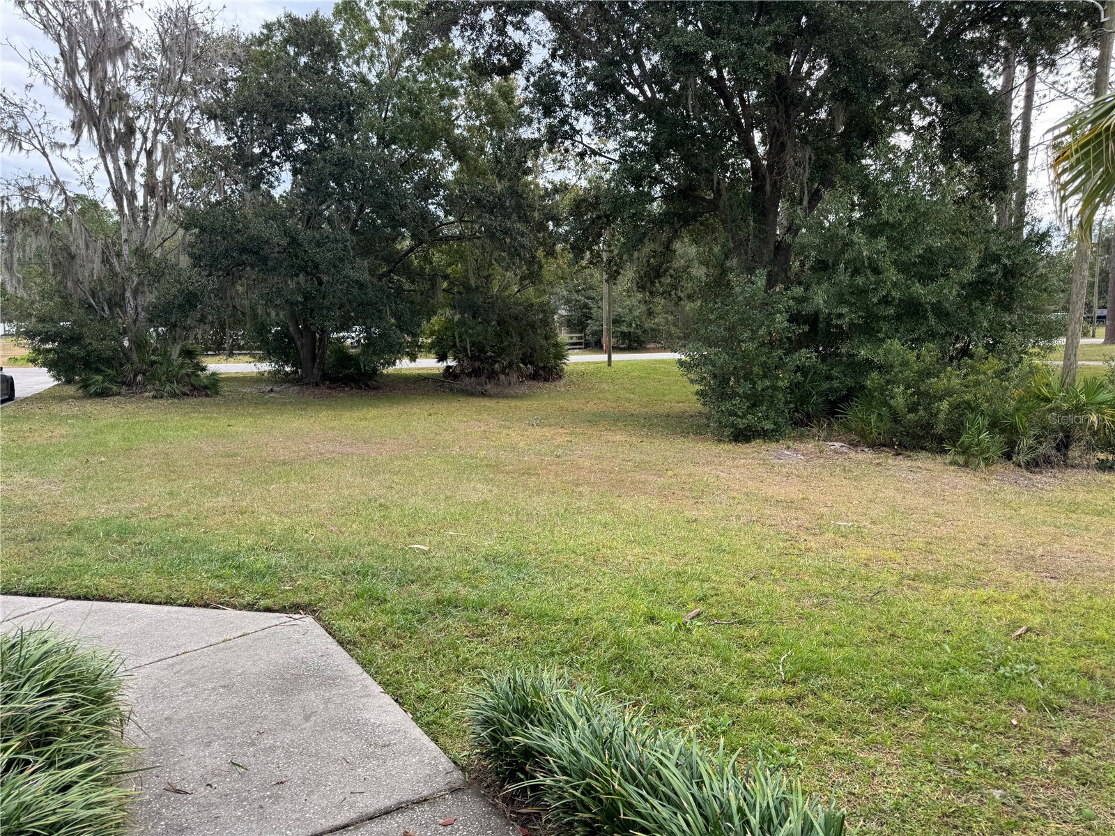 7433 Richland Street Wesley Chapel FL 33544 TB8463785 image22