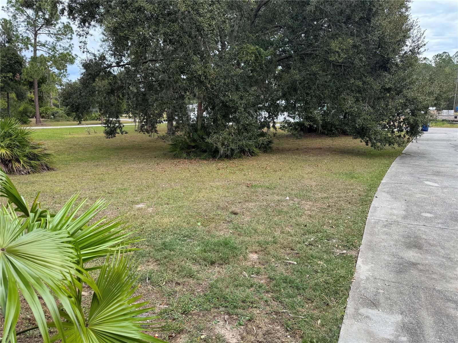 7433 Richland Street Wesley Chapel FL 33544 TB8463785 image23