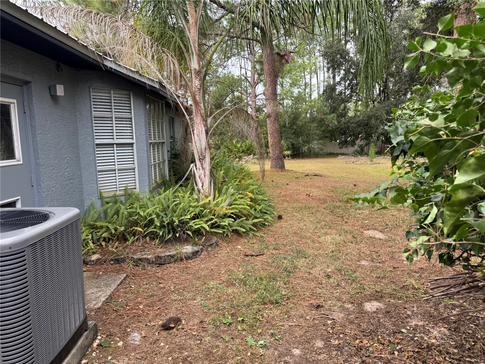 7433 Richland Street Wesley Chapel FL 33544 TB8463785 image24