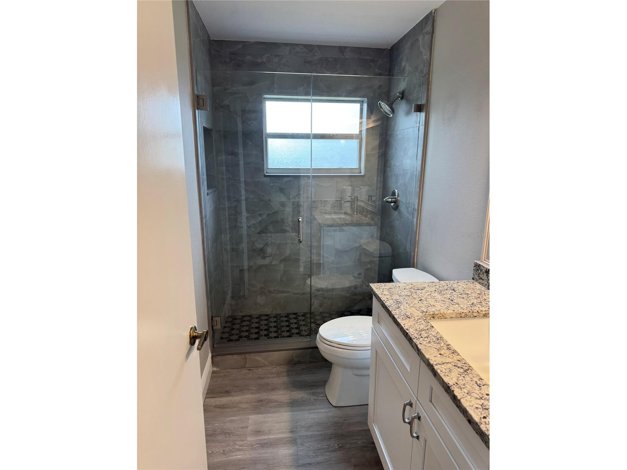 7433 Richland Street Wesley Chapel FL 33544 TB8463785 image5