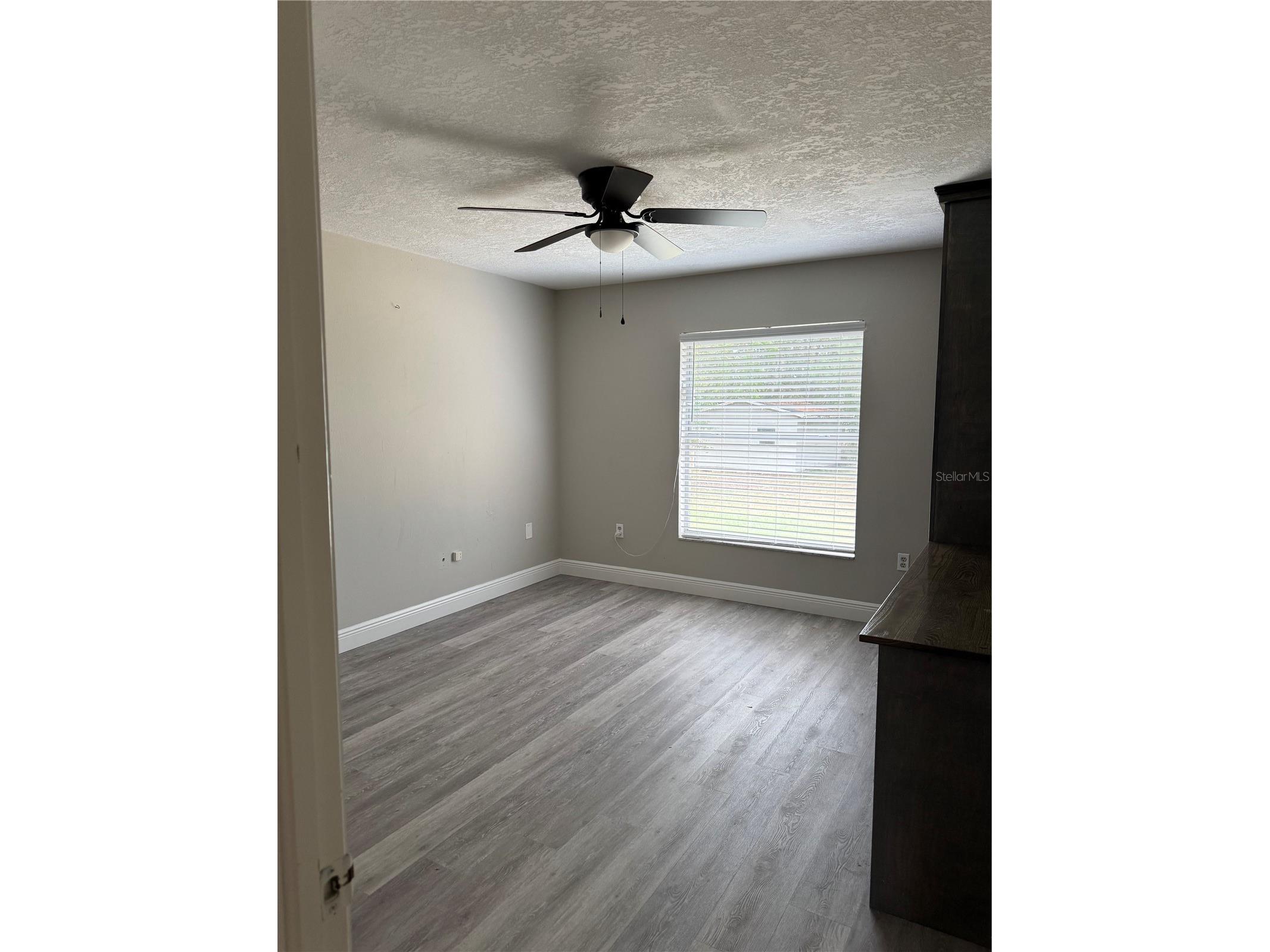 7433 Richland Street Wesley Chapel FL 33544 TB8463785 image6