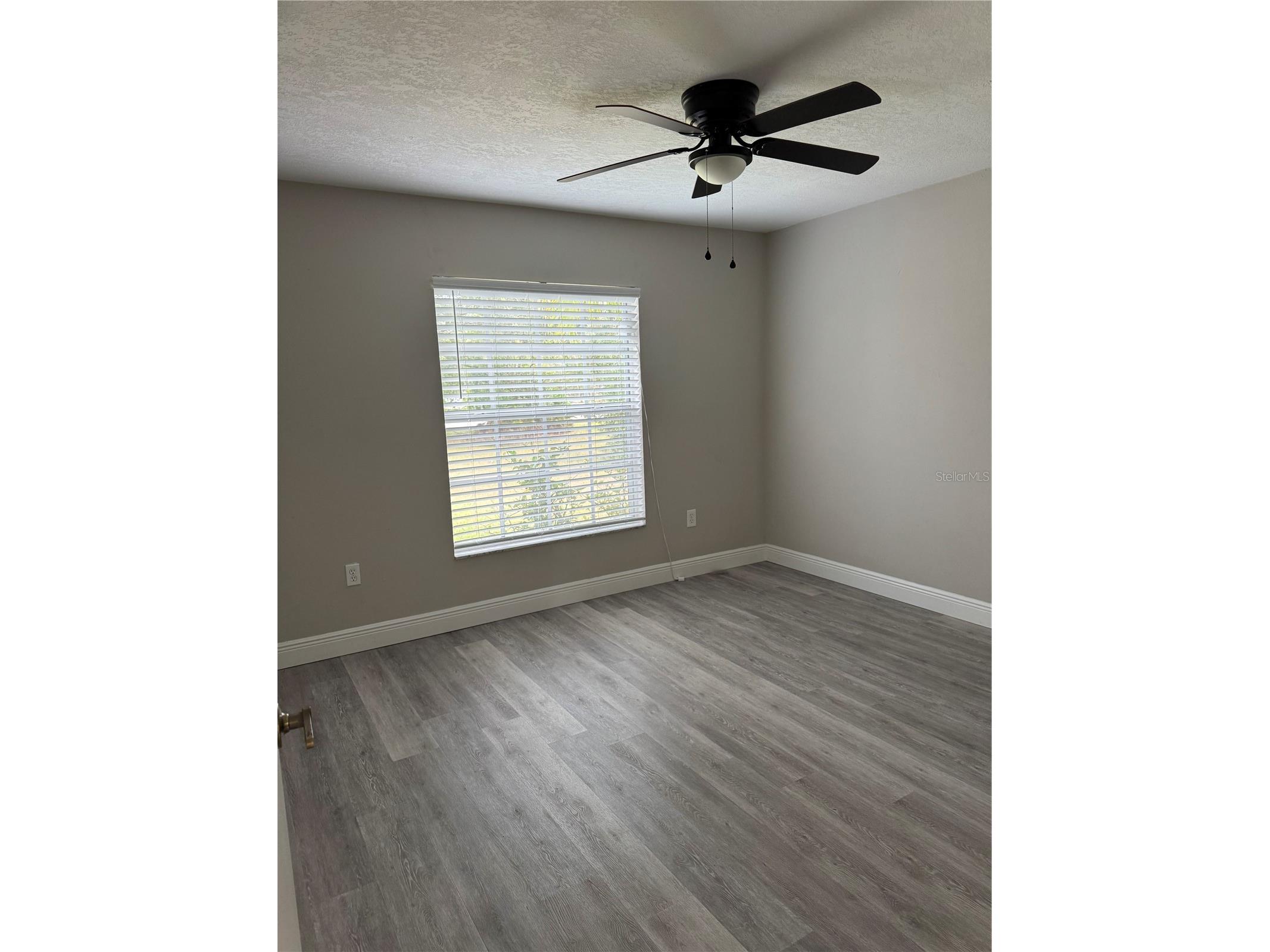 7433 Richland Street Wesley Chapel FL 33544 TB8463785 image8