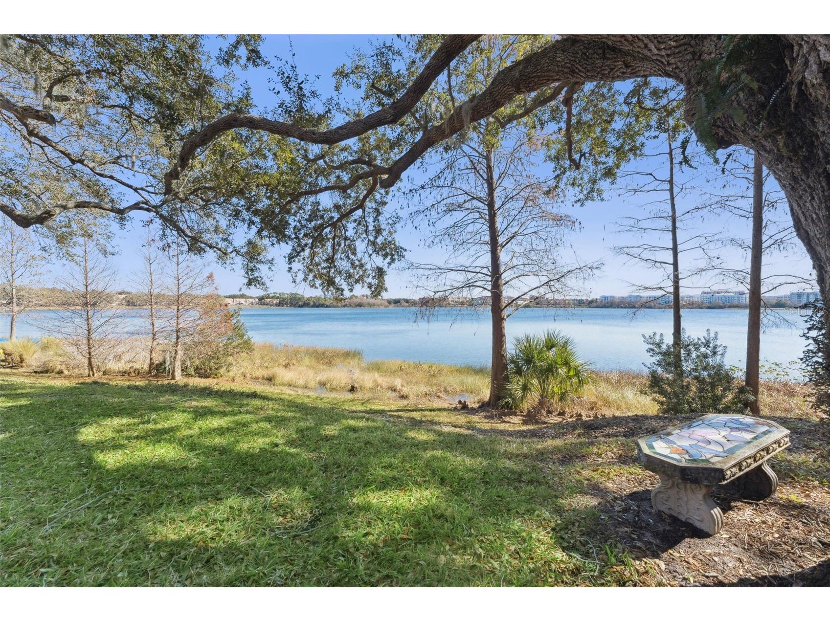 7433 Somerset Shores Court Orlando FL 32819 - Spring Lake O6380097 image42