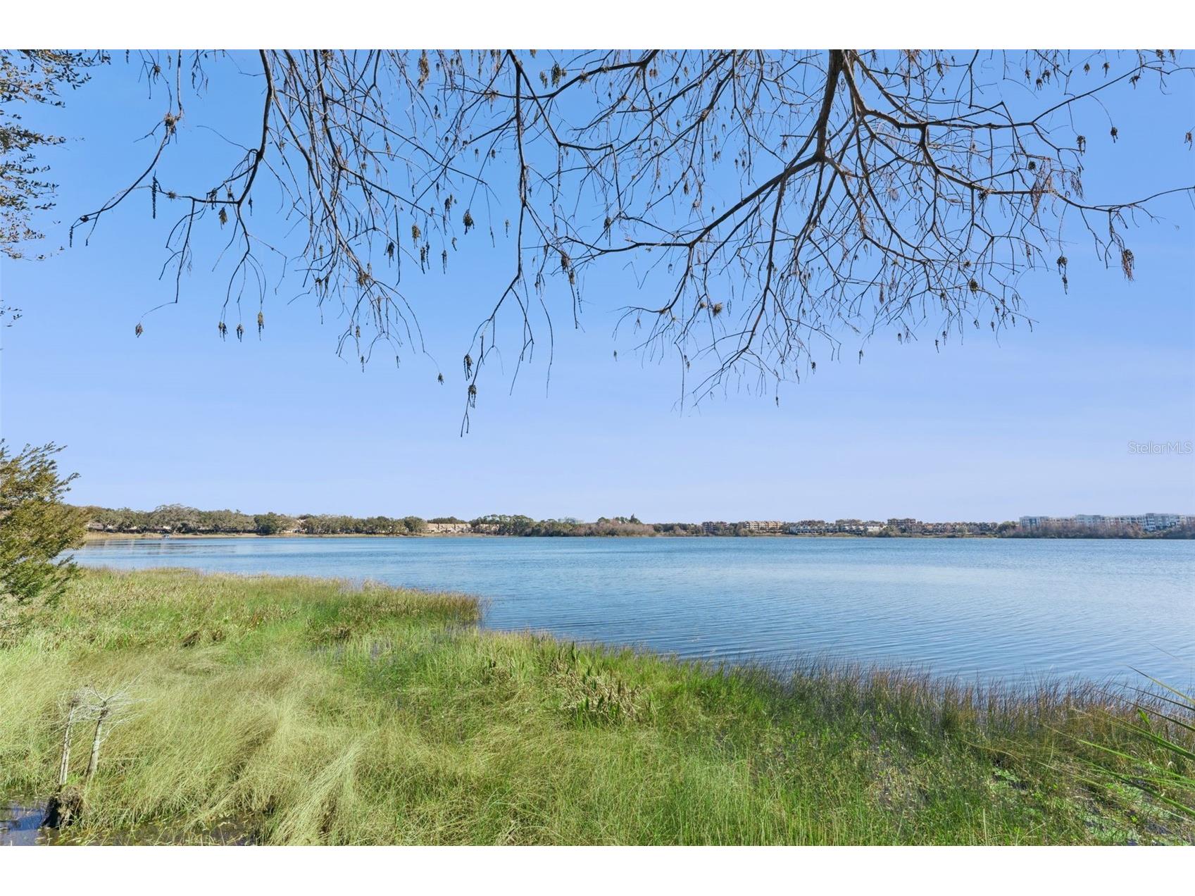 7433 Somerset Shores Court Orlando FL 32819 - Spring Lake O6380097 image44