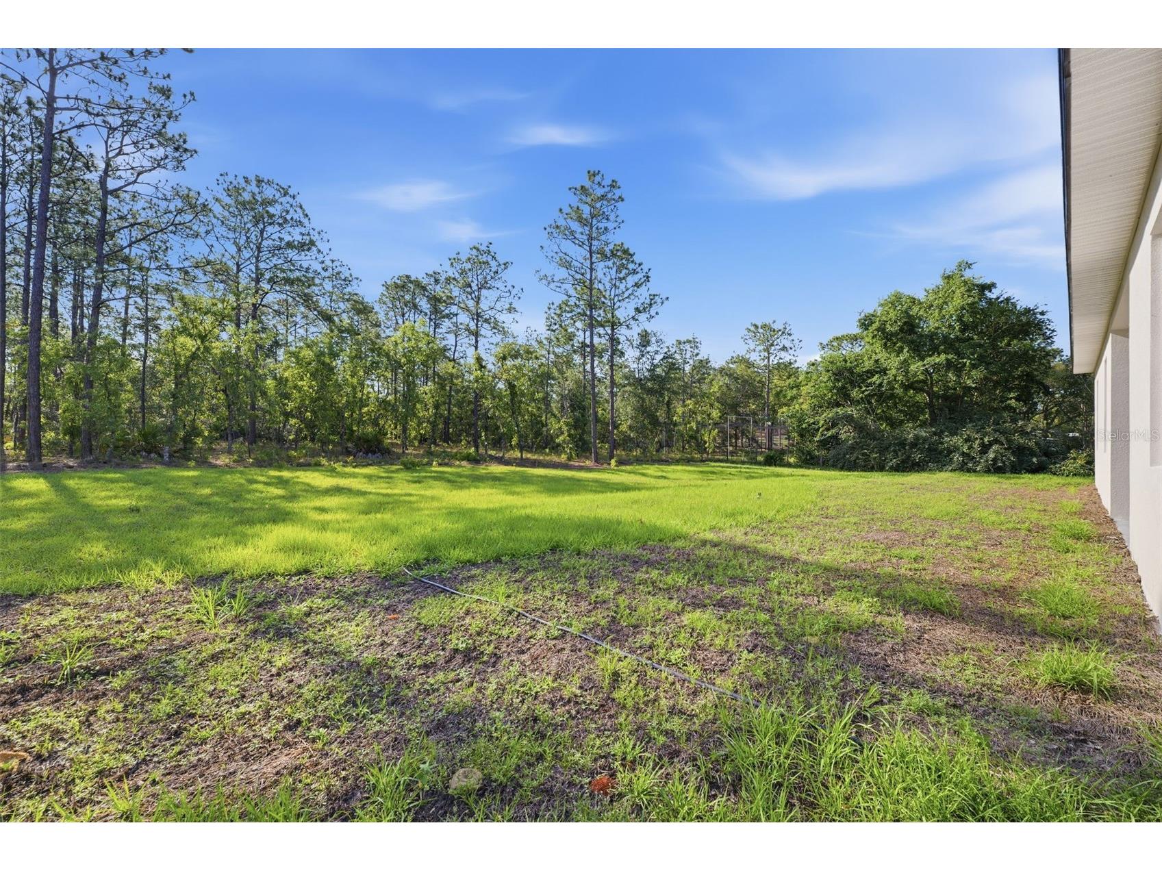 7433 SW 138th Terrace Dunnellon FL 34432 O6422697 image34