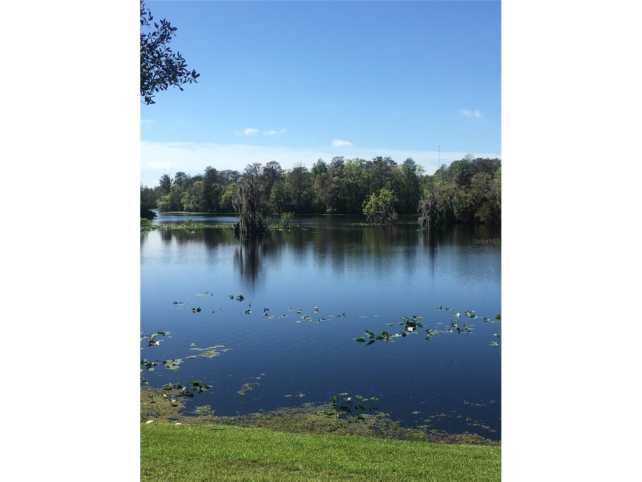 7433 Terrace River Drive Tampa FL 33637 - HILLSBOROUGH RIVER TB8486412 image14