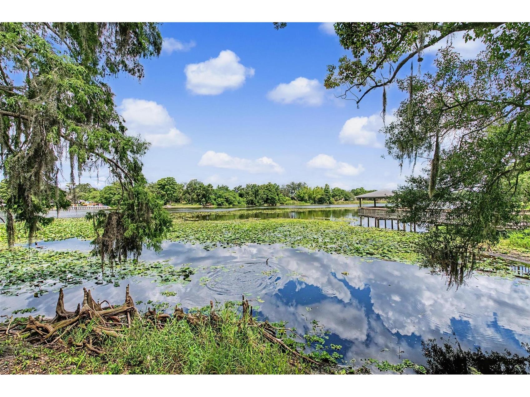 7434 E Bank Drive Tampa FL 33617 - HILLSBOROUGH RIVER TB8518948 image28