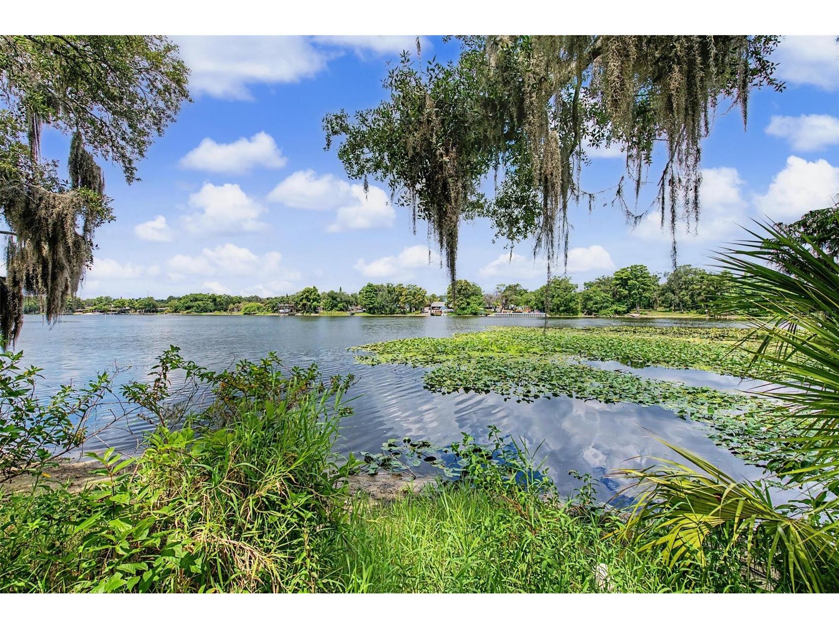7434 E Bank Drive Tampa FL 33617 - HILLSBOROUGH RIVER TB8518948 image29
